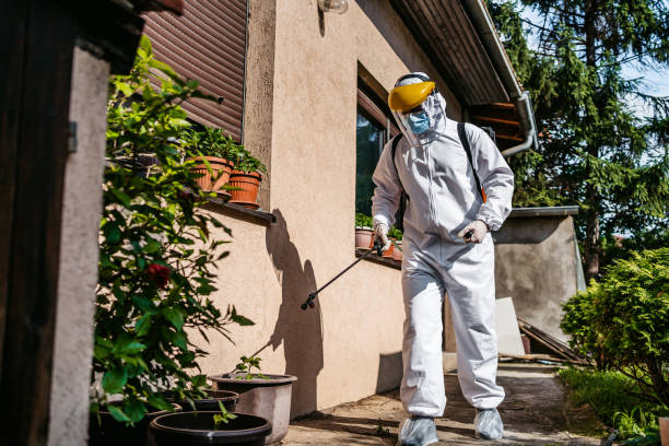 Best Ant Control Services  in Ithaca, MI