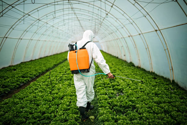 Best Best Pest Control Companies  in Ithaca, MI