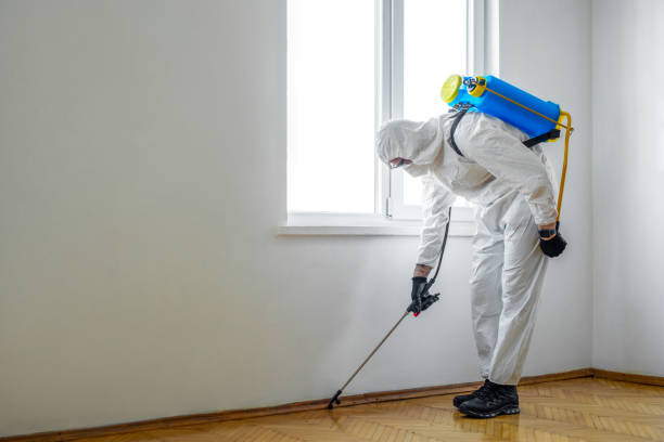 Best Termite Control Services  in Ithaca, MI