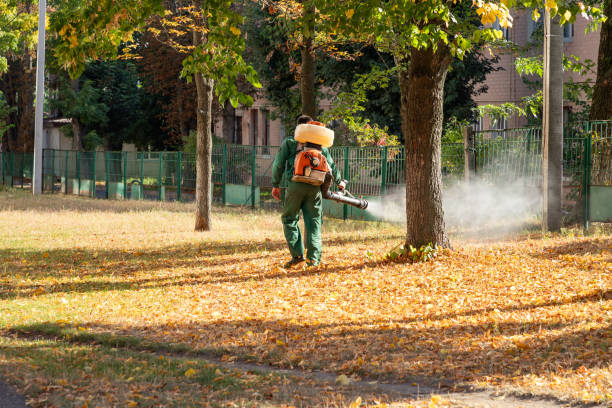 Wasp Removal Services in Ithaca, MI