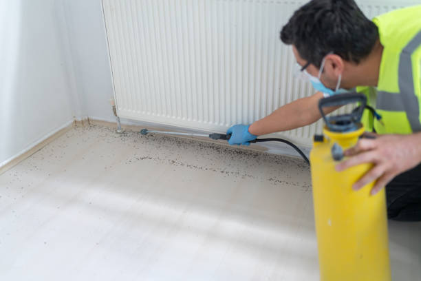Best Emergency Pest Control  in Ithaca, MI
