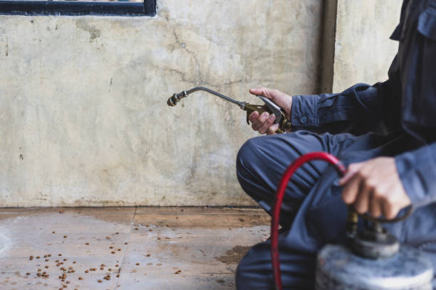 Best Emergency Pest Control  in Ithaca, MI